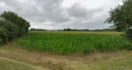 Villiers-au-Bouin Terrain à bâtir - 2255873-9897annonce120250331zBF4x.jpeg Maisons Open