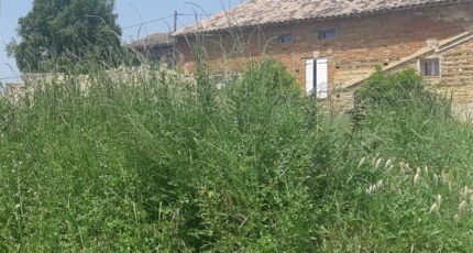 Aucamville Terrain à bâtir - 2347589-5202annonce320251124Pkm1Z.jpeg Maisons Open