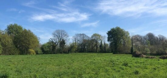 Terrain à bâtir à Villemur-sur-Tarn, Occitanie