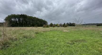 Chenaud Terrain à bâtir - 2347987-11367annonce120251125vxAFw.jpeg Maisons Open