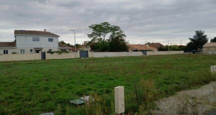 Le Taillan-Médoc Terrain à bâtir - 2347977-11193annonce120251125QZJHu.jpeg Maisons Open