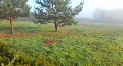 Couzeix Terrain à bâtir - 2348070-3291annonce220251125bEl8i.jpeg Maisons Open