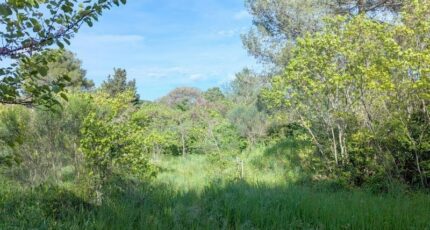 Montpellier Terrain à bâtir - 2348086-609annonce120251125rKA9Z.jpeg Maisons Open