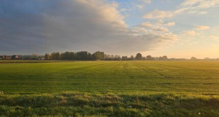 Meurchin Terrain à bâtir - 2348003-11632annonce220251125HCyVU.jpeg Maisons Open