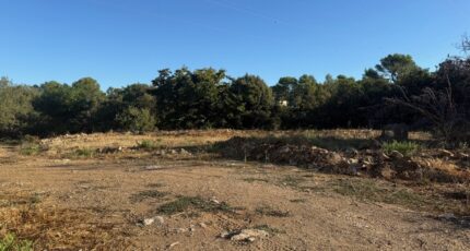 Rocbaron Terrain à bâtir - 2276360-11136annonce220250919elysV.jpeg Maisons Open