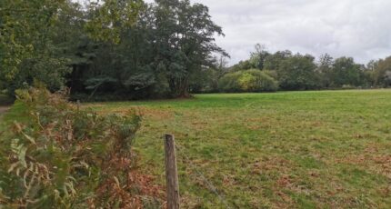 Le Barp Terrain à bâtir - 2348210-3957annonce120251125iEcdi.jpeg Maisons Open