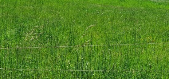 Terrain à bâtir à Toulouges, Occitanie