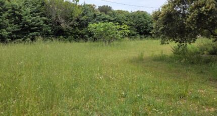 Cucuron Terrain à bâtir - 2348028-2970annonce120251125DUema.jpeg Maisons Open