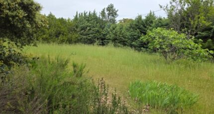 Cucuron Terrain à bâtir - 2348028-2970annonce220251125IciTh.jpeg Maisons Open