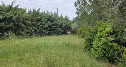 Cucuron Terrain à bâtir - 2348028-2970annonce3202511252H5XW.jpeg Maisons Open