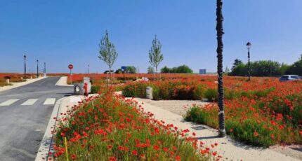 Maulette Terrain à bâtir - 2280976-10686annonce120250506EUHUh.jpeg Maisons Open