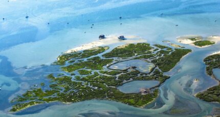 Biganos Terrain à bâtir - 2348525-11151annonce1202508056DSps.jpeg Maisons Open