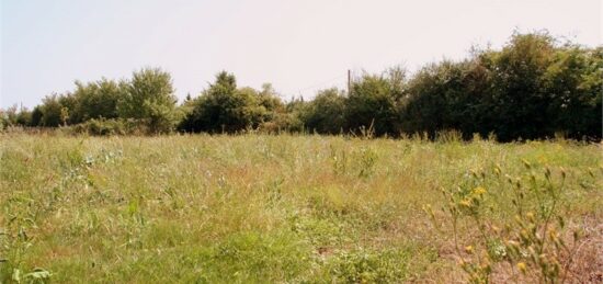 Terrain à bâtir à Brach, Nouvelle-Aquitaine