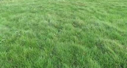 Ury Terrain à bâtir - 2318031-7255annonce120251025cGsuw.jpeg Maisons Open