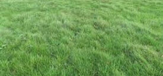 Terrain à bâtir à Ury, Île-de-France