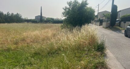 Alleins Terrain à bâtir - 2350217-11073annonce52025112607Kah.jpeg Maisons Open