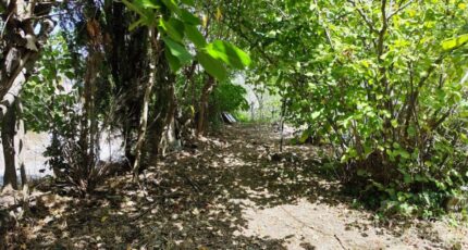 Cuers Terrain à bâtir - 2350167-11039annonce320251126OoQQM.jpeg Maisons Open