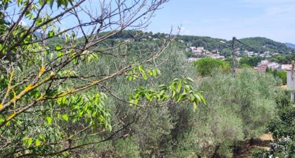 Cuers Terrain à bâtir - 2350167-11039annonce420251126miMVg.jpeg Maisons Open