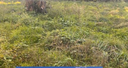 Créon Terrain à bâtir - 2350181-3601annonce12025112601r0h.jpeg Maisons Open