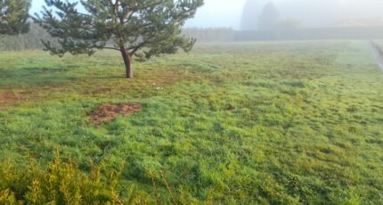 Couzeix Terrain à bâtir - 2350297-3291annonce120251126qVrwi.jpeg Maisons Open