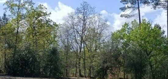 Terrain à bâtir à La Brède, Nouvelle-Aquitaine