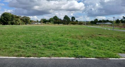 Marsac-sur-l'Isle Terrain à bâtir - 2314426-9455annonce220251022JxM9e.jpeg Maisons Open