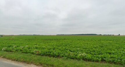 Ablis Terrain à bâtir - 2316860-11364annonce420251024mccxm.jpeg Maisons Open