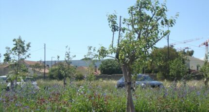 Hyères Terrain à bâtir - 2315034-11080annonce220251023lyeA7.jpeg Maisons Open