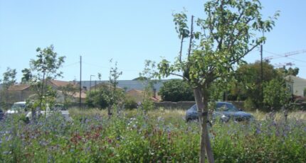 Hyères Terrain à bâtir - 2310019-11080annonce120251018OllRN.jpeg Maisons Open