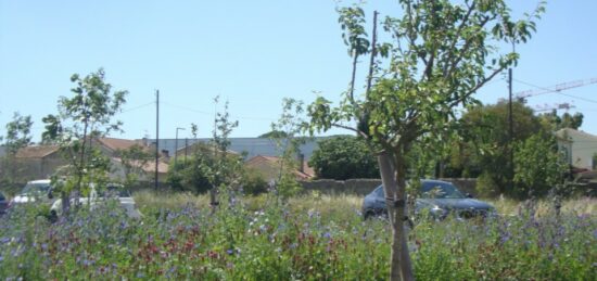 Terrain à bâtir à Hyères, Provence-Alpes-Côte d'Azur