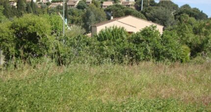 Hyères Terrain à bâtir - 2310019-11080annonce220251018BVp0i.jpeg Maisons Open