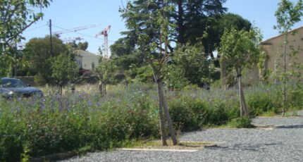 Hyères Terrain à bâtir - 2310019-11080annonce320251018qb1W2.jpeg Maisons Open