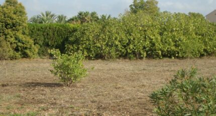 Pierrefeu-du-Var Terrain à bâtir - 2350354-11080annonce320251126xuxDH.jpeg Maisons Open