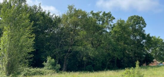 Terrain à bâtir à Sallebœuf, Nouvelle-Aquitaine