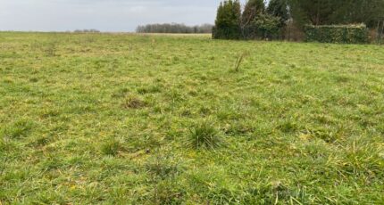 Surgères Terrain à bâtir - 2350467-11194annonce3202511274alW9.jpeg Maisons Open