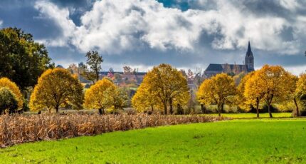 La Chapelle-Saint-Florent Terrain à bâtir - 2350635-11353annonce120251127Xzsuu.jpeg Maisons Open