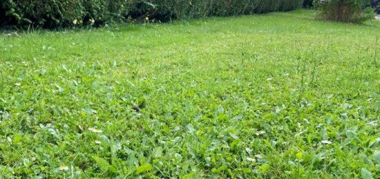 Terrain à bâtir à Saint-Pierre-d'Autils, Normandie