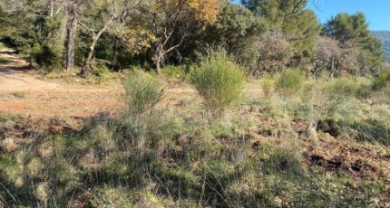 Puget-Ville Terrain à bâtir - 2350810-5622annonce220251127ma0xN.jpeg Maisons Open