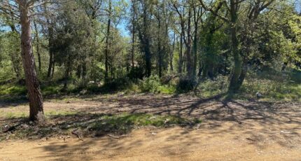 Méounes-lès-Montrieux Terrain à bâtir - 2350710-5622annonce4202511279fza4.jpeg Maisons Open