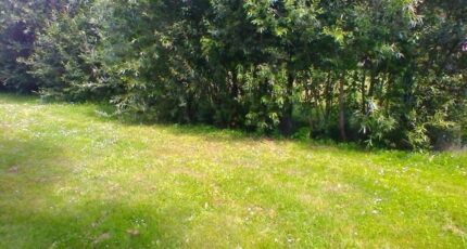 Coubert Terrain à bâtir - 2268361-10729annonce120250911gNbuq.jpeg Maisons Open