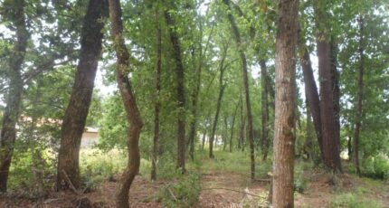 Le Teich Terrain à bâtir - 2350886-11686annonce120251127rpdJ5.jpeg Maisons Open