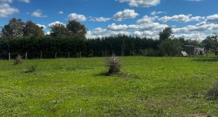 Libourne Terrain à bâtir - 2265034-10947annonce1202509095iIB0.jpeg Maisons Open