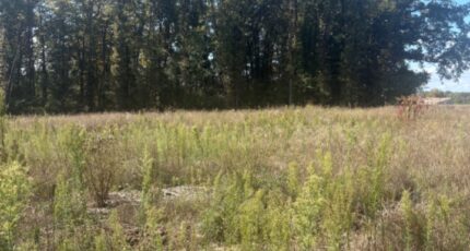 Galgon Terrain à bâtir - 2265716-10947annonce1202509093U21m.jpeg Maisons Open