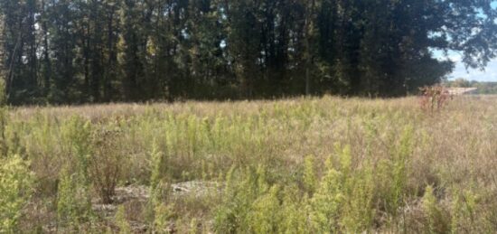 Terrain à bâtir à Galgon, Nouvelle-Aquitaine