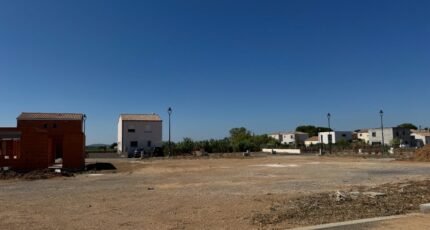 Pomérols Terrain à bâtir - 2306684-11455annonce120251015gC975.jpeg Maisons Open