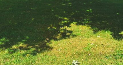 Saint-Maixant Terrain à bâtir - 2351557-3957annonce120251127wEZes.jpeg Maisons Open