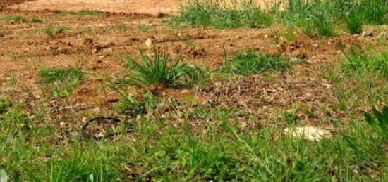 Terrain à bâtir à , Pas-de-Calais