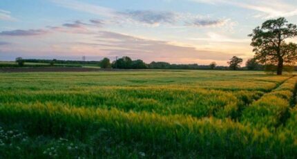 Tain-l'Hermitage Terrain à bâtir - 2351647-11248annonce120251128HBuMi.jpeg Maisons Open