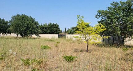 Pézilla-la-Rivière Terrain à bâtir - 2350677-4671annonce1202511275HUB5.jpeg Maisons Open