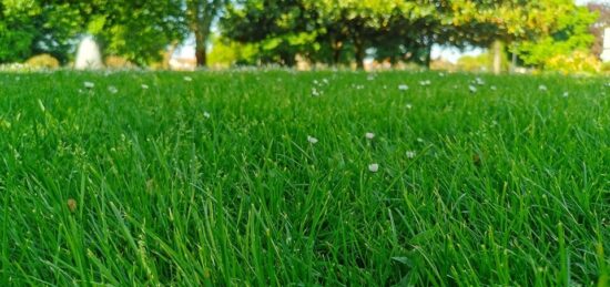Terrain à bâtir à Le Porge, Nouvelle-Aquitaine